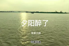 圩塘汽渡看常泰大桥主桥墩的雄伟壮观视频封面