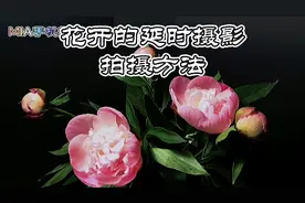用最简单的设备，达到最佳的拍摄效果。花开的手机延时摄影方法视频封面