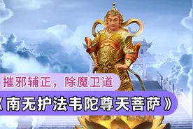 佛教护法天神《南无韦陀菩萨》劫难度众，护持正法视频封面