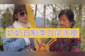 奶奶用铁丝制作李白凤求凰视频封面