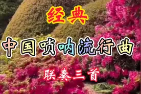 喜庆唢呐精选三首联奏完整版，经典歌曲，天籁之音，请猜歌名是啥视频封面