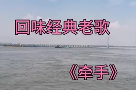 愿以深情共白首，愿无岁月可回首！视频封面