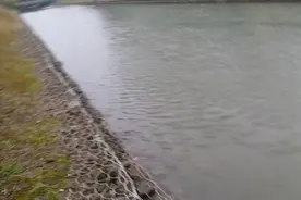 上海长江大鱼泛滥，无人敢钓，一问大爷吓坏了视频封面