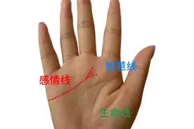 手指上细下粗，对于女人来讲是清闲享福的命。视频封面
