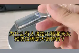 为什么有人说给小猪灌庆大预防拉稀是大错特错！到底能不能灌服？