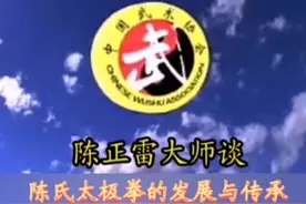 陈正雷大师谈陈氏太极拳的传承与发展视频封面