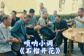 记录乡土：江西遂川民间传统唢呐小调《石榴开花》，真不错视频封面