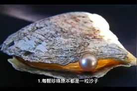 10句励志正能量生活治愈心灵语录视频封面