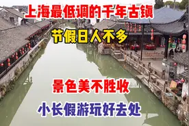 上海最低调的千年古镇，节假日人不多，景色美不胜收，游玩好去处视频封面