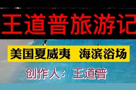 美国夏威夷  海滨浴场视频封面