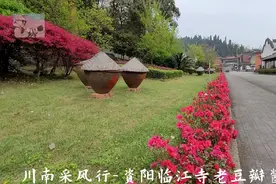 川南采风行-掠过资阳临江寺豆瓣厂，尝尝还是不是那种老味道视频封面