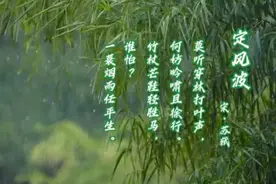 回首向来萧瑟处，归去，也无风雨也无晴 —苏轼的《定风波》朗诵视频封面