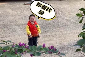 小辉辉非要宝妈看着他挖土，还时不时的回头看妈妈在不在，好可爱视频封面