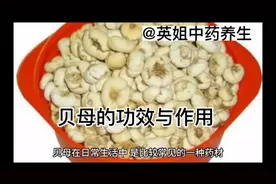 贝母的功效与作用@英姐中药养生