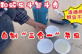 和蚜虫斗智斗勇，自制的“三合一”杀虫剂，连喷两天，蚜虫不见了视频封面