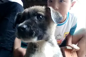 介绍：鸣视频封面