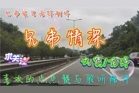 一首《兄弟情深》推荐给朋友们，手足情义视频封面