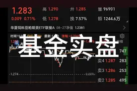 韭蔡姐买基金养家，今日收益2k，豆粕消费基金实盘视频封面