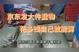 京东发大件物流贵不贵，看看梅姨往沈阳发七个大包花多钱，怎么算视频封面