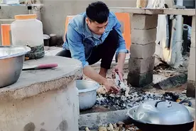 海南池塘边的大肥鸭，又被燕子瞧上了，用这招抓鸭子，一抓一个准