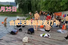 8月25日，合肥天鹅湖游泳打卡