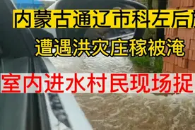 内蒙古通辽市科左后旗遭遇洪灾庄稼被淹室内进水村民现场捉鱼视频封面