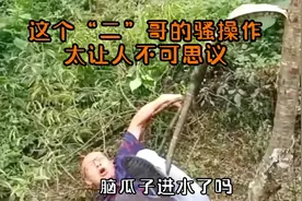 不可思议的事情不经意间在我们身边就能看到，不信那就往下看。视频封面