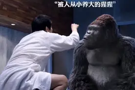 和人类从小一起生活的大猩猩，真是喝酒打棒球样样精通！视频封面