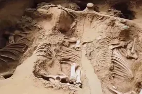 山东邹平发现西周大型车马陪葬坑，墓中竟然发现四匹马拉的马车视频封面