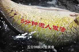 5分钟煮鱼懒人做法，把鱼直接放在开水中煮一煮，出锅瞬间变美食视频封面