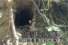 探寻德州市陵城区汉墓群，环境阴森恐怖，封土堆上出现神秘的洞视频封面