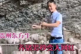 贵州东方牛：养猪男变成网络红人，他是如何做到的！视频封面
