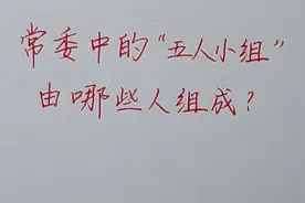 干部调整的前置程序，常委中的“五人小组”由哪些人组成？视频封面