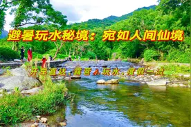 广东自驾露营避暑玩水秘境，现场宛如人间仙境，露营度假一流视频封面