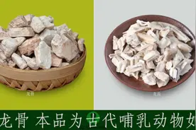 单味中药助记小视频·龙骨视频封面