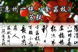 苏轼《惠州一绝·食荔枝》日啖荔枝三百颗，不辞长作岭南人视频封面