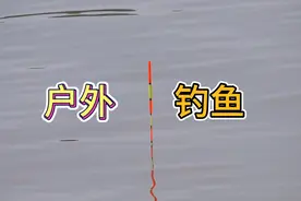 钓鱼方法，调4钓4，鲫鱼根本停不下来视频封面