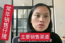小焦家猪场常年以卖小猪仔为主，来看看销售渠道有哪些？合作共赢视频封面