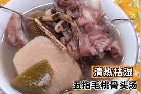 广东靓汤：五指毛桃骨头汤，舒筋活络、清热祛湿效果好视频封面
