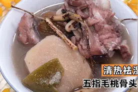广东靓汤：五指毛桃骨头汤，舒筋活络、清热祛湿效果好视频封面
