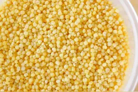 小米这个做法第一次见，放压力锅里蒸一蒸，蓬松暄软，营养解馋视频封面