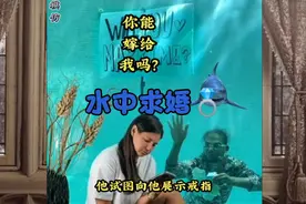 男子水中向许久不见的男友求婚，结果差点把自己憋西了视频封面