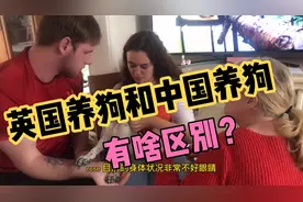英国养狗和中国养狗有啥区别？来看看视频封面