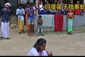 阿三用笛子让眼镜蛇跳舞。视频封面