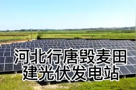 河北行唐县毁麦田建光伏发电站，伤了农民的心视频封面