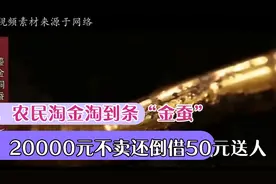 1984年，一农民淘金淘到条“金蚕”，20000元不卖还倒借50元送人视频封面