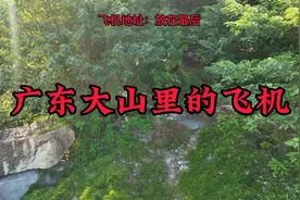 广东大山上发现几台飞机，为何全部放在这里，如今杂草树木太可惜视频封面