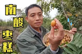 农村到处可见的南酸枣，捡回来做酸枣糕，过程繁琐，味道还真不错视频封面
