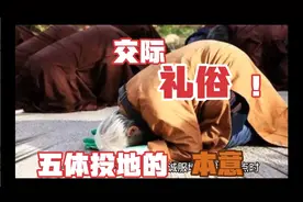 五体投地的本意视频封面