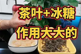 茶叶+冰糖，竟然有这么大的功效，很多人都不知，而且经济又实惠视频封面